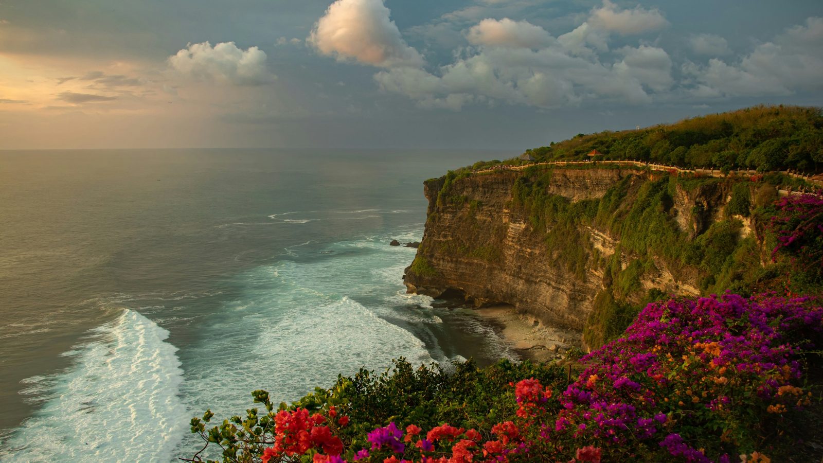 Falaises d'Uluwatu au-dessus de l'océan Indien dans la lumière du soir, bougainvilliers au premier plan, Bali